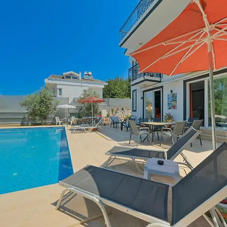 Luxury Forest With Private Pool - Ovacik Villa *