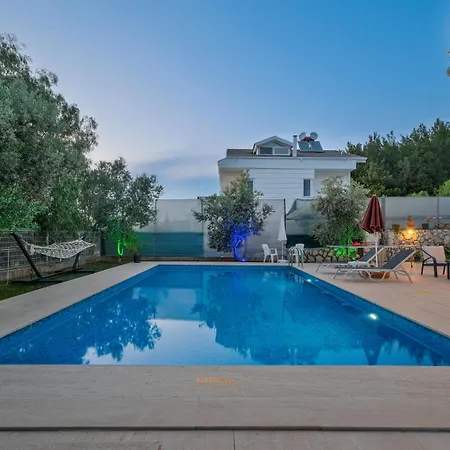 Luxury Forest With Private Pool - Ovacik فيلة