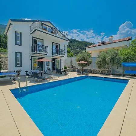 Luxury Forest With Private Pool - Ovacik فتحية